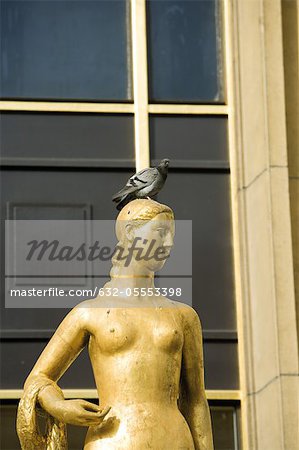 Pigeon perched on golden statue