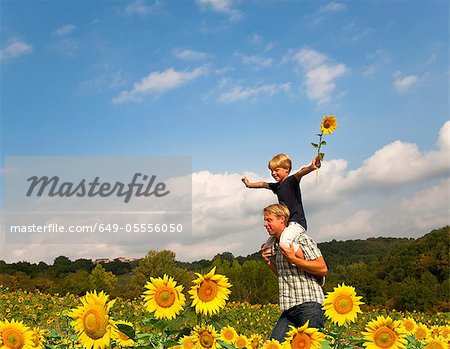 Père et fils dans le champ de fleurs