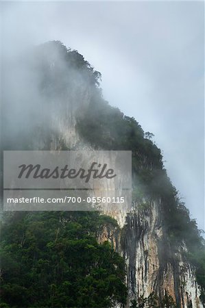Montagne dans le brouillard, Khao Sok Resort, Surat Thani, Thaïlande