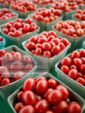 Cherry Tomatoes at St Jacobs Farmers' Market, St Jacobs, Ontario, Canada