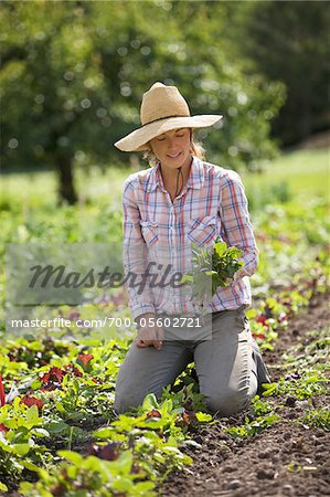 Farmer on Organic Farm