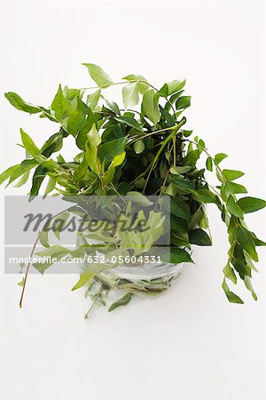 Fresh curry leaves