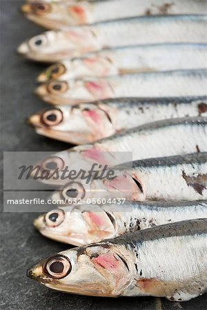 Raw anchovies