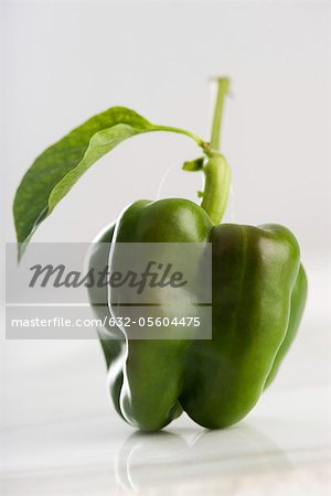 Fresh green bell pepper