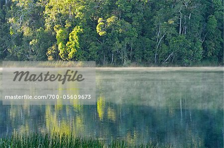 Lake Barrine, Atherton Tableland, Queensland, Australia