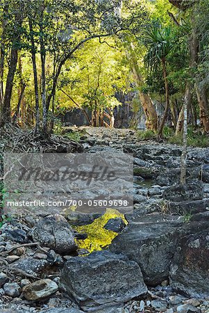 Cedar Creek, Whitsunday Coast, Queensland, Australia