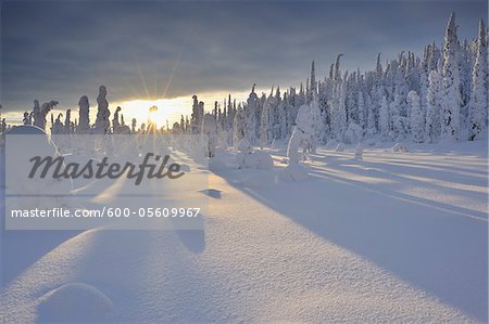Valtavaara, Kuusamo, Ostrobotnie du Nord, la Province d'Oulu, Finlande Valtavaara, Kuusamo, Ostrobotnie du Nord, la Province d'Oulu, Finlande
