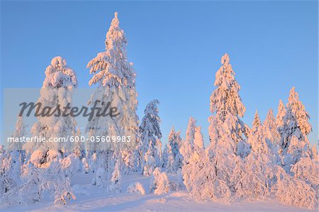 Kuusamo, Ostrobotnie du Nord, la Province d'Oulu, Finlande