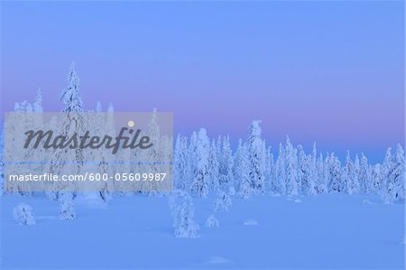 Kuusamo, Nordösterbotten, Provinz Oulu, Finnland