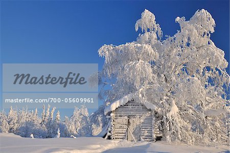 Blockhaus in Winter, Kuusamo, Österbotten, Nordfinnland