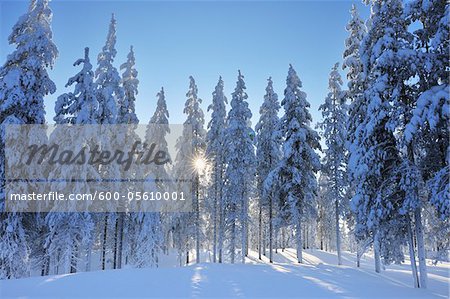 Kuusamo, Ostrobotnie du Nord, la Province d'Oulu, Finlande