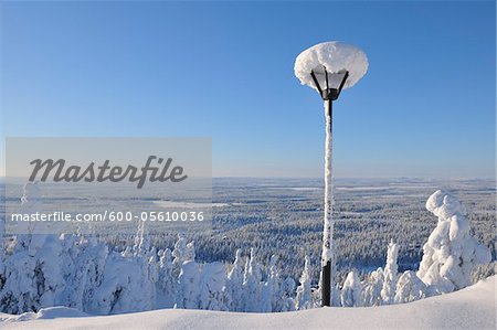 Schnee bedeckt Straßenleuchte mit Blick auf Wald, Ruka, Kuusamo, Nordösterbotten, Finnland