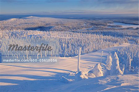 Couverte de neige paysage, Rukatunturi, Kuusamo, Ostrobotnie du Nord, Finlande