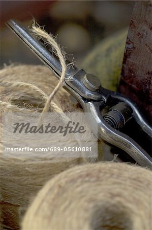 Shears and rolls of cord