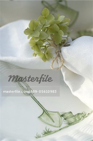 Ornate plate and napkin