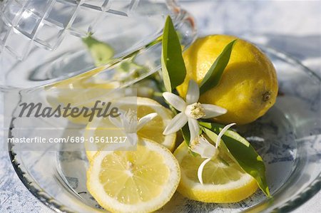 Lemon slices on plate