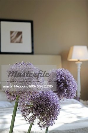 Chambre à coucher avec Allium ornemental