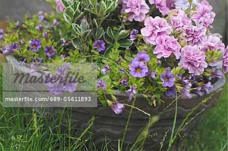 Jardaniere with flowers in garden