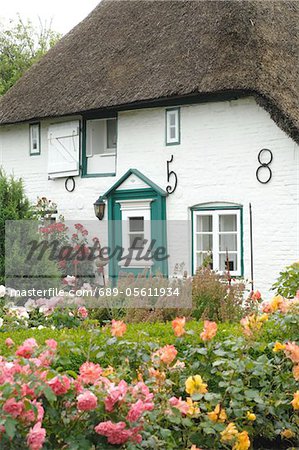 Rosenbüsche vor einem Haus mit Reetdach