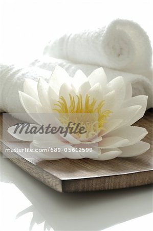 Serviettes et l'eau blanche fleur de lis Serviettes et l'eau blanche fleur de lis