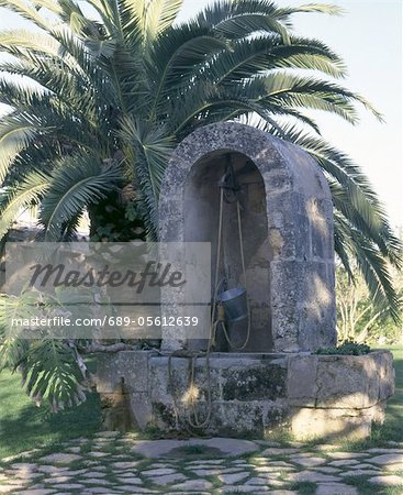 Water well at palm tree