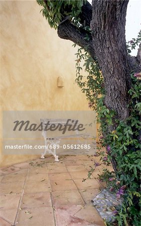 Banc et arbre à une maison