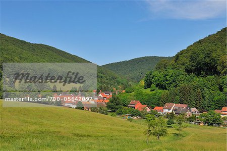 Lonau, Harz National Park, Lower Saxony, Germany