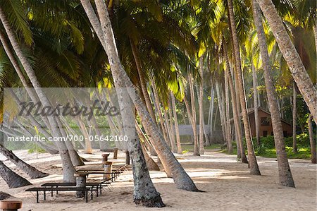 Bancs sur la plage, Amanwella Hotel, Tangalle, Sri Lanka