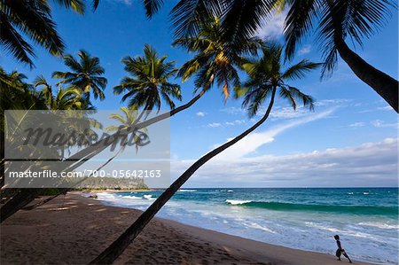 Beach, Amanwella Hotel, Tangalle, Sri Lanka