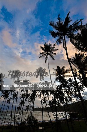 Beach at Sunset, Amanwella Hotel, Tangalle, Sri Lanka