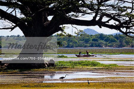 Men Fishing, Wirawila Sanctuary, near Tissamaharama, Sri Lanka