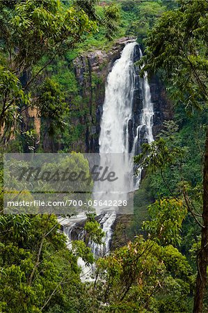 Devon Falls, Nuwara Eliya District, Zentralprovinz in Sri Lanka