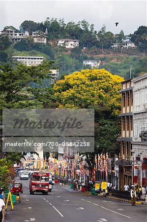 Straßenszene, Kandy, Sri Lanka