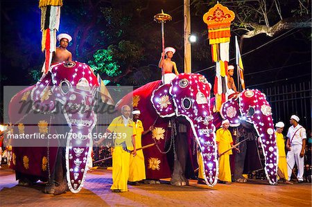 Éléphants au Festival Perahera de Kandy, Kandy, Sri Lanka
