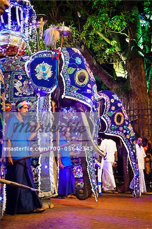 Elefanten am Esala Perahera Festival, Kandy, Sri Lanka