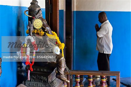 Elefanten-Statue und Mann betet in Gangaramaya Tempel, Colombo, Sri Lanka
