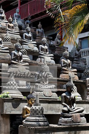 Sitzende Buddha-Statuen, Gangaramaya Tempel, Colombo in Sri Lanka