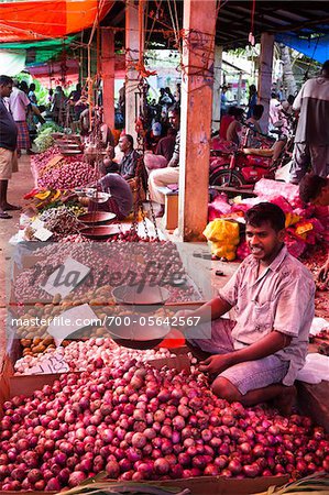 Gemüse steht im Markt, Payagala South, Sri Lanka