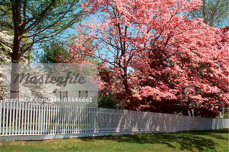 1990s SPRING BLOSSOMS WHITE PICKET FENCE