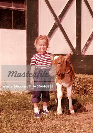 1960s SMILING GIRL ROLLED UP DENIM JEANS WITH GUERNSEY CALF OUTSIDE BARN