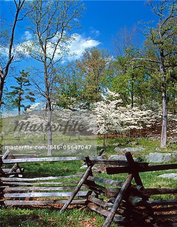 AU PRINTEMPS DE FLEURS DE CORNOUILLER PITTORESQUE NATIONAL BATTLEFIELD GETTYSBURG PA