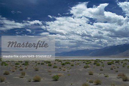 Dry rural landscape under blue sky