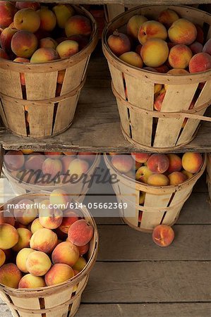 Baskets of ripe peaches