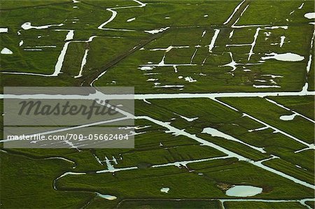 Aerial View of Wetlands, Wemeldinge, Zeeland, Netherlands