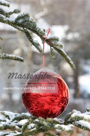 Red Bauble on Christmas Tree with Reflection