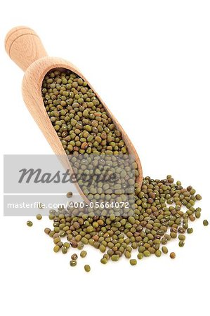 Mung bean pulses in a wooden kitchen scoop and scattered isolated over white background.