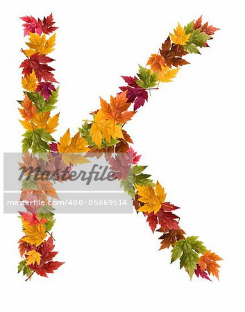 Alphabet and numbers made from autumn maple tree leaves.