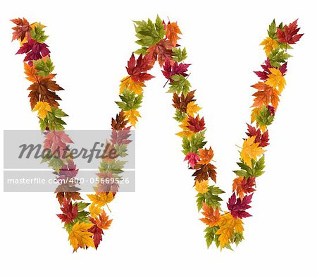 Alphabet and numbers made from autumn maple tree leaves.