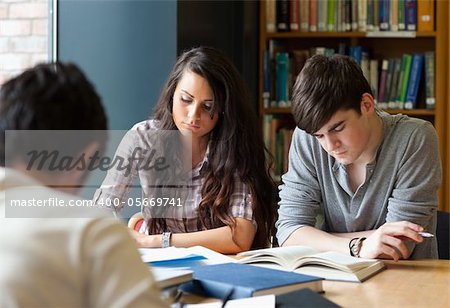 Students preparing the examinations in a library