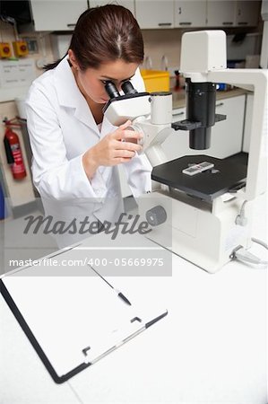 Portrait of a female science student looking in a microscope in a laboratory